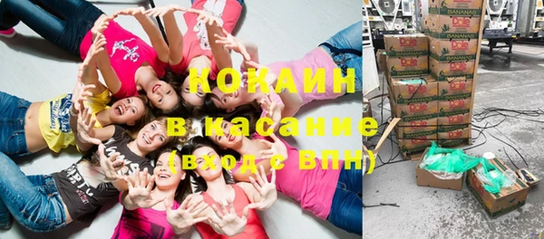 индика Зерноград