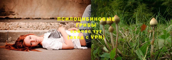 меф Зеленодольск