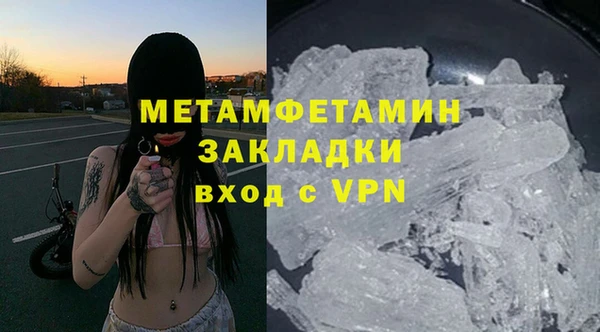 индика Зерноград