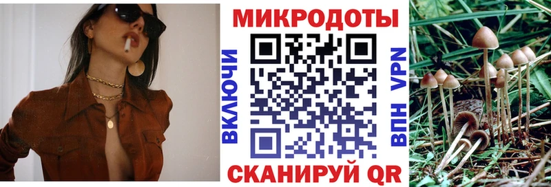 Галлюциногенные грибы Cubensis  гидра зеркало  Касли 